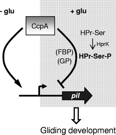 FIG. 8.