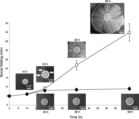 FIG. 4.