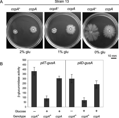 FIG. 6.