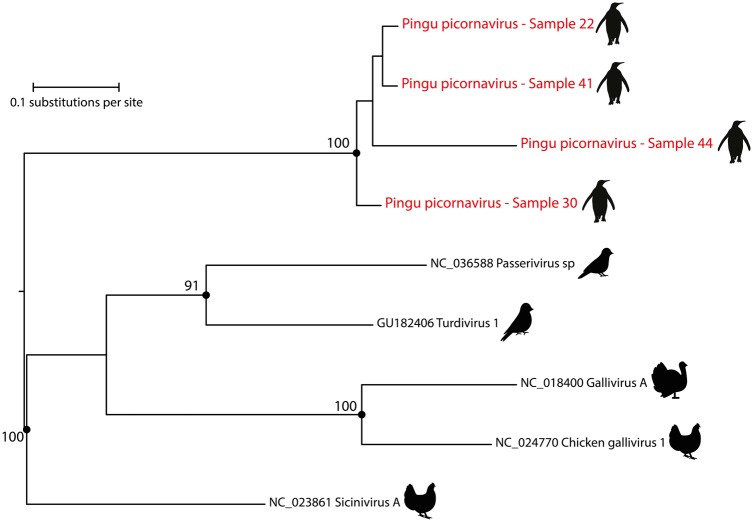 Figure 3.