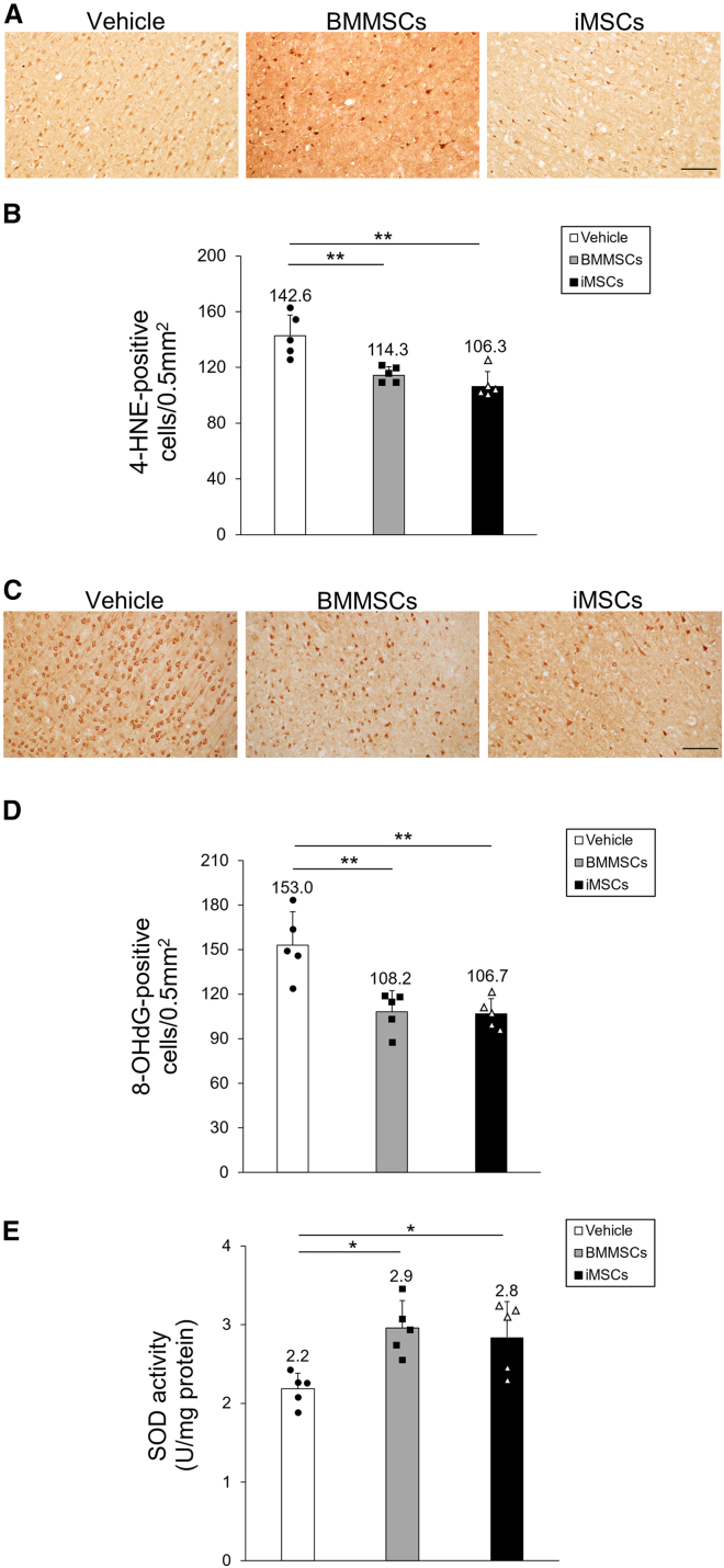 Figure 6