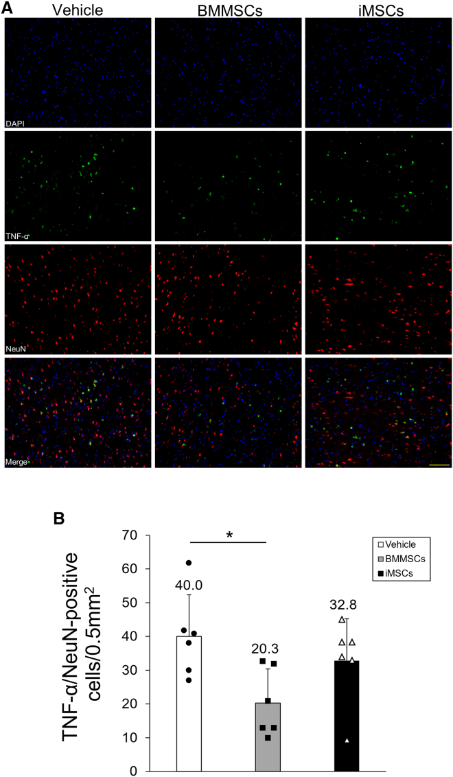 Figure 5