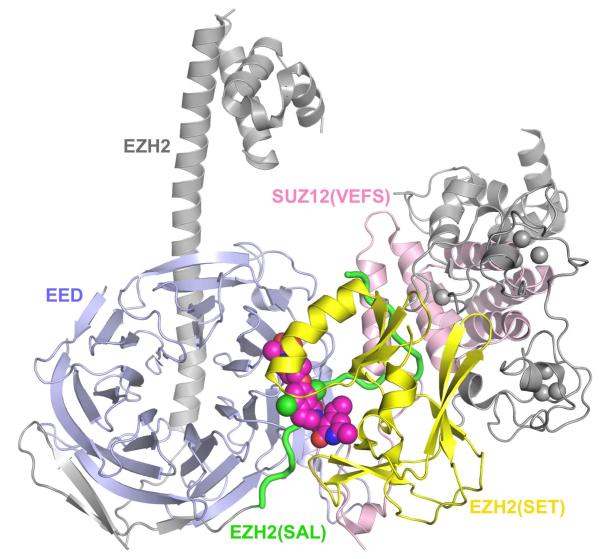 Figure 1C