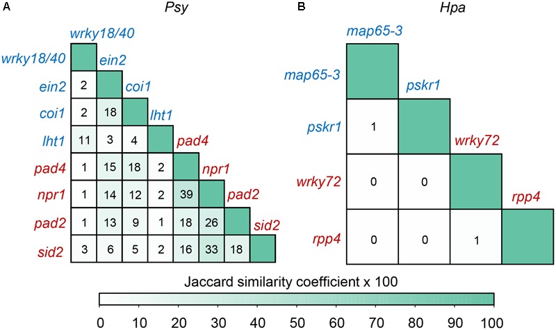 FIGURE 4