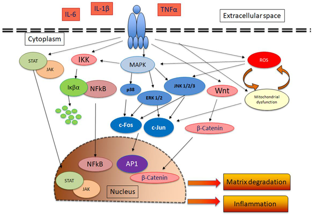 Figure 2: