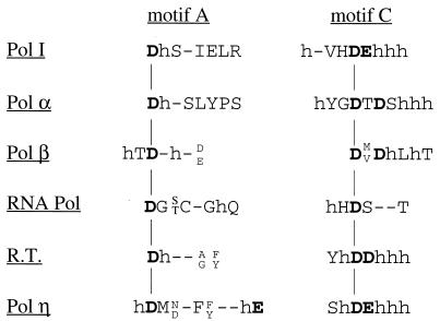 FIG. 8