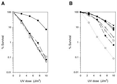 FIG. 7