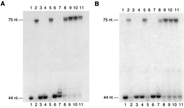 FIG. 6