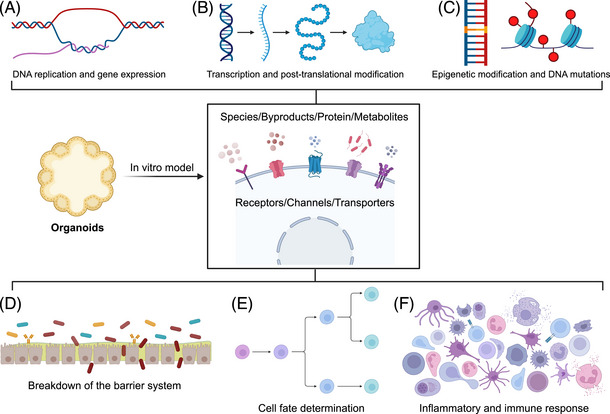 FIGURE 3