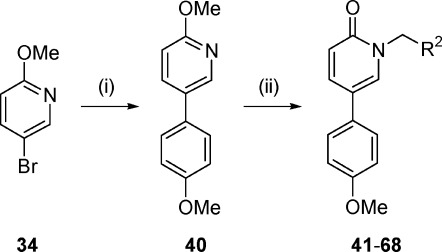 Scheme 4