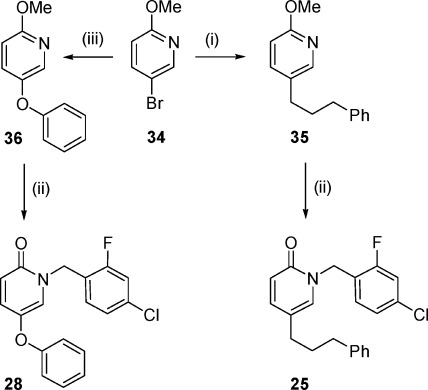 Scheme 2