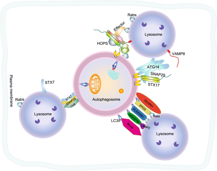 Figure 4