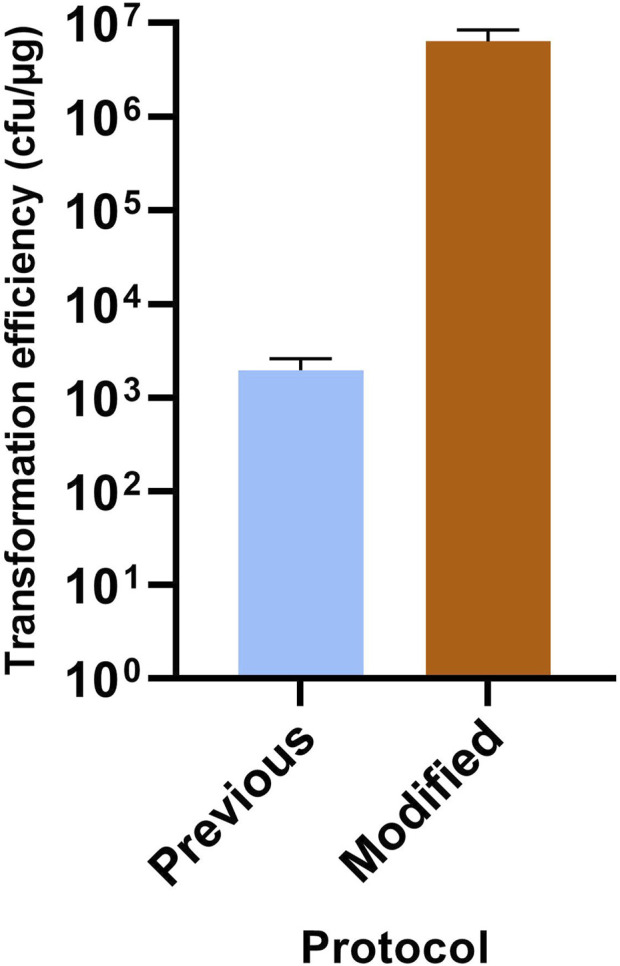 FIGURE 2