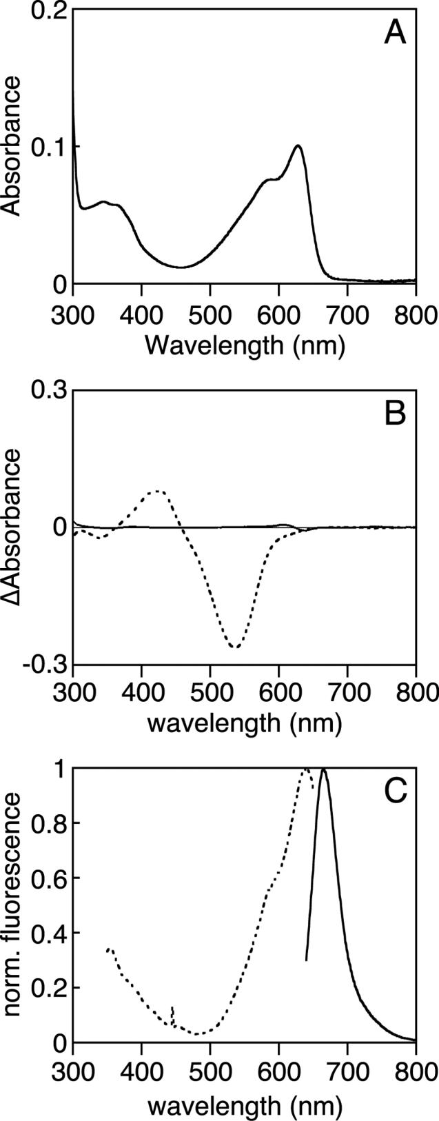 Figure 5