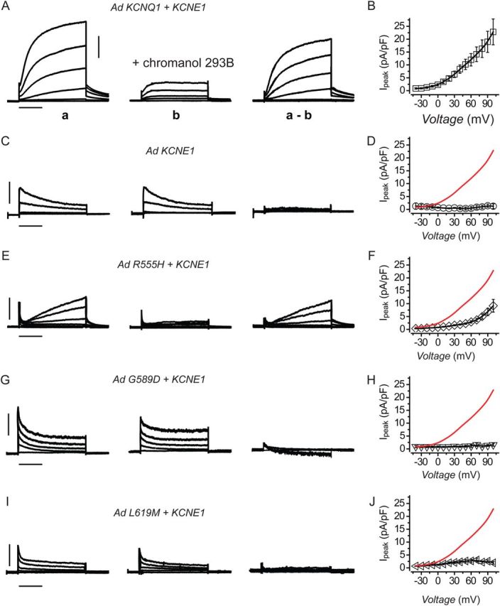 Figure 5