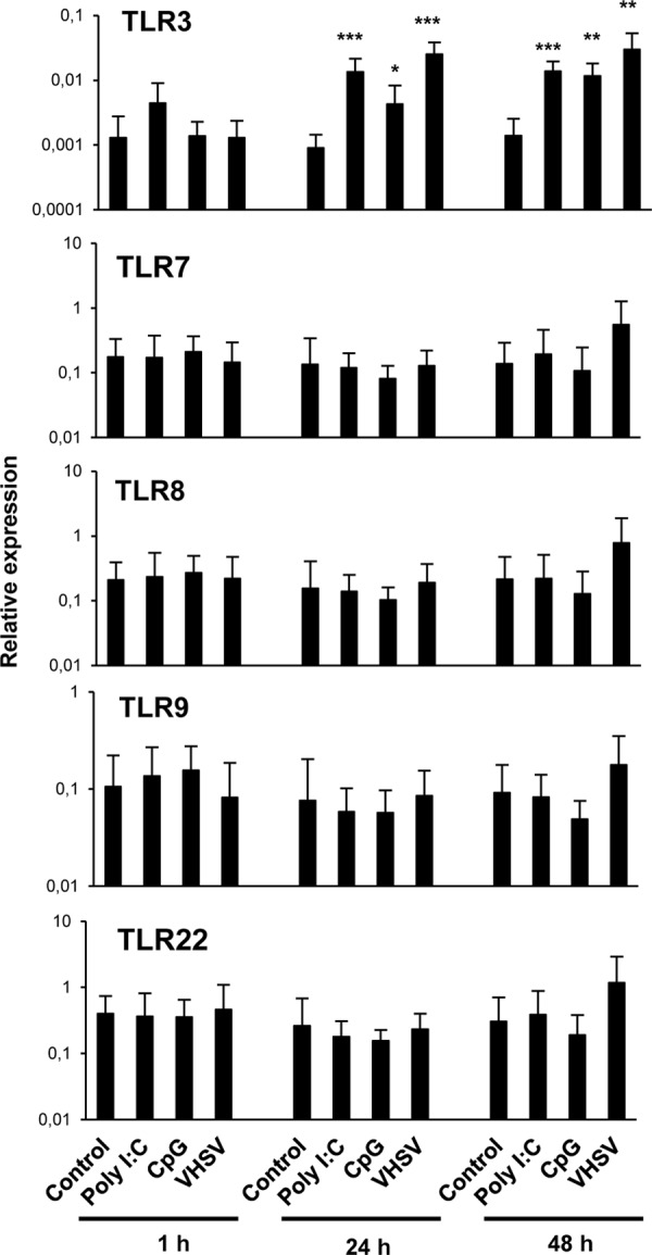 FIG 2