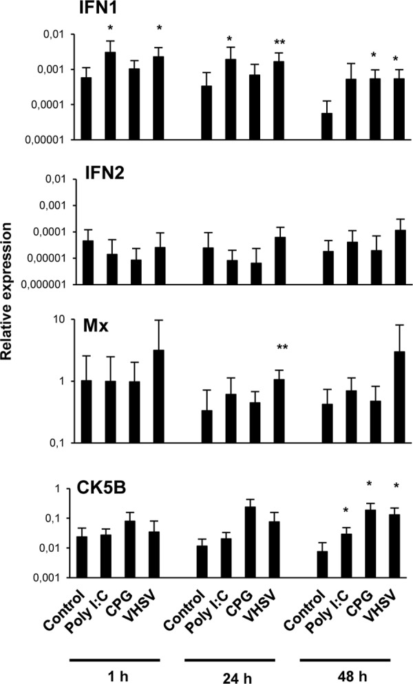 FIG 3