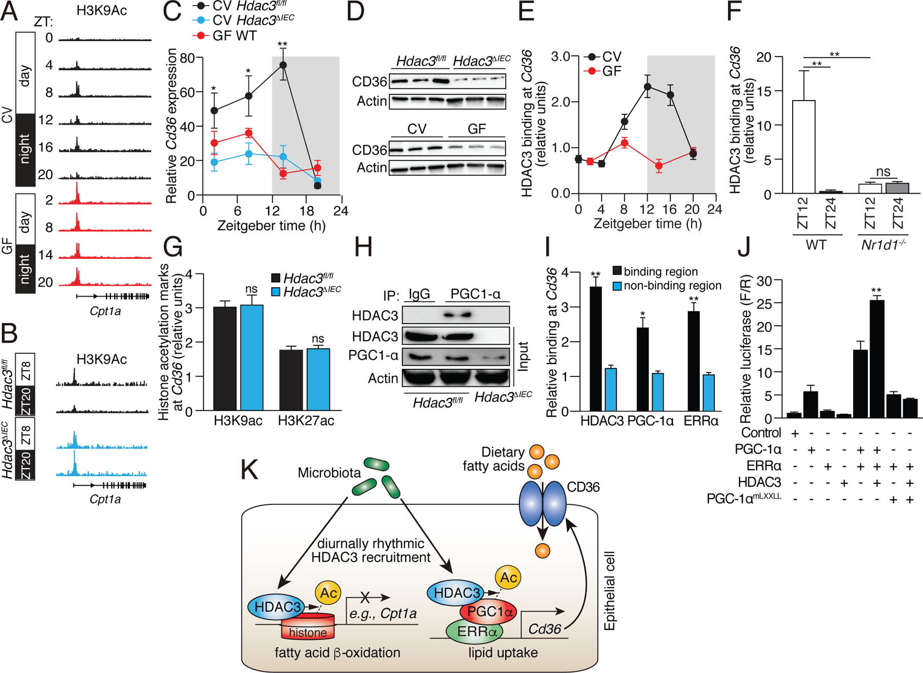 Figure 5: