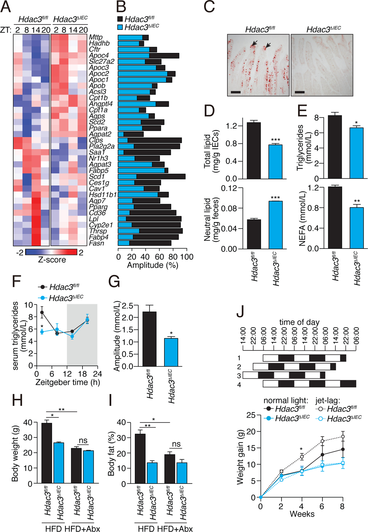 Figure 4: