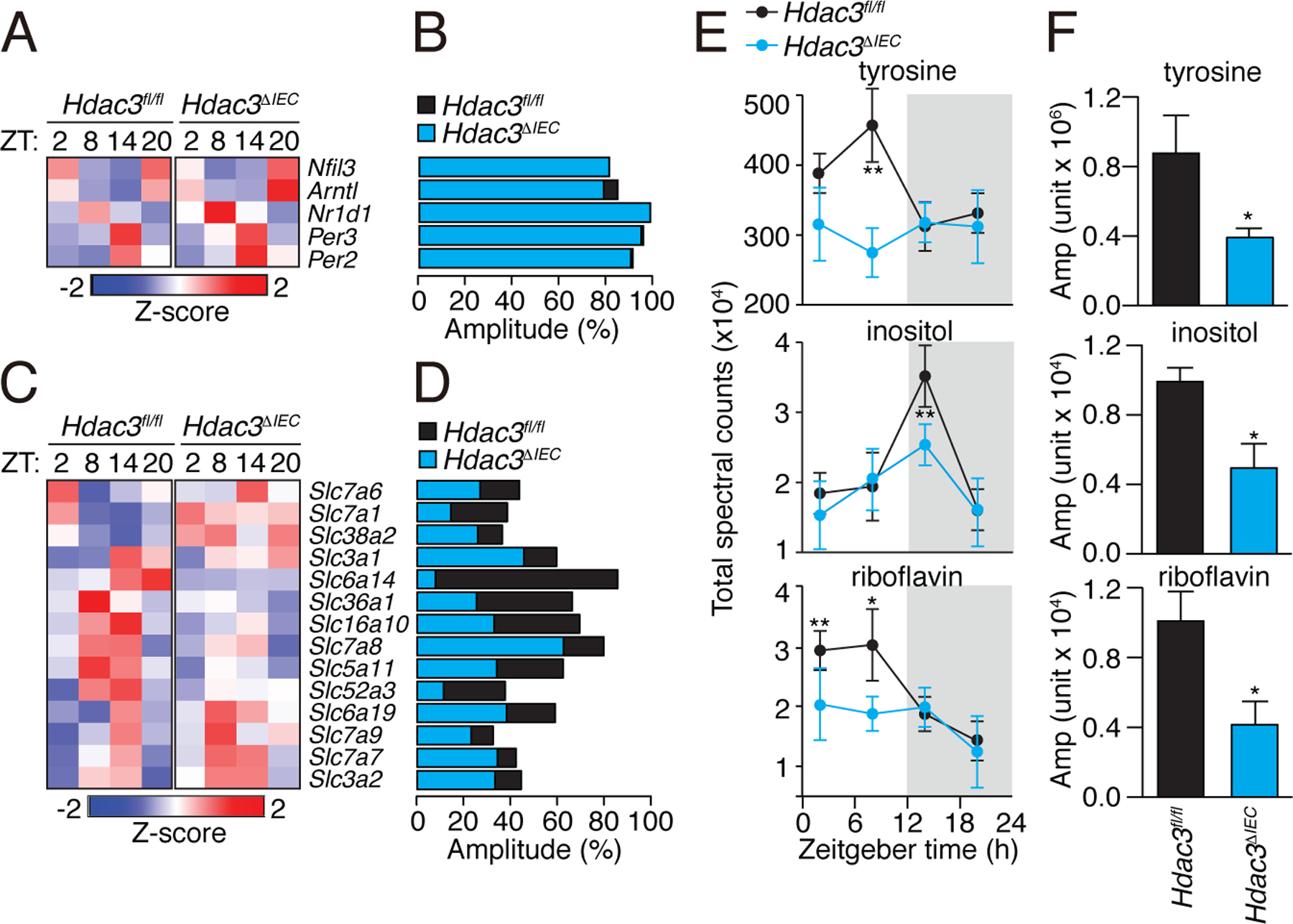 Figure 3: