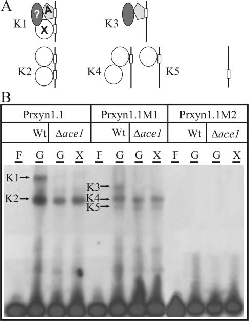 FIG. 5.