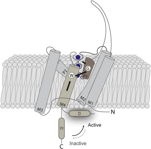 Figure 5.3