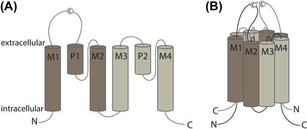 Figure 5.1