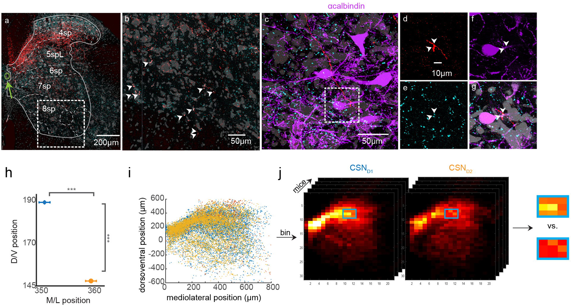 Extended Data Fig. 5