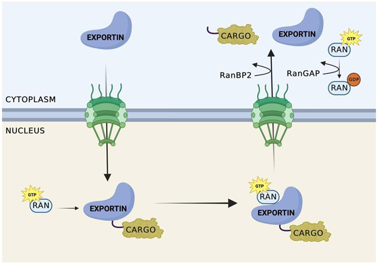 Figure 2: