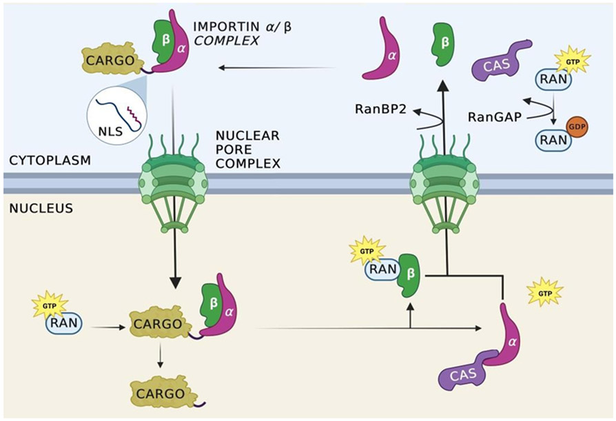 Figure 1: