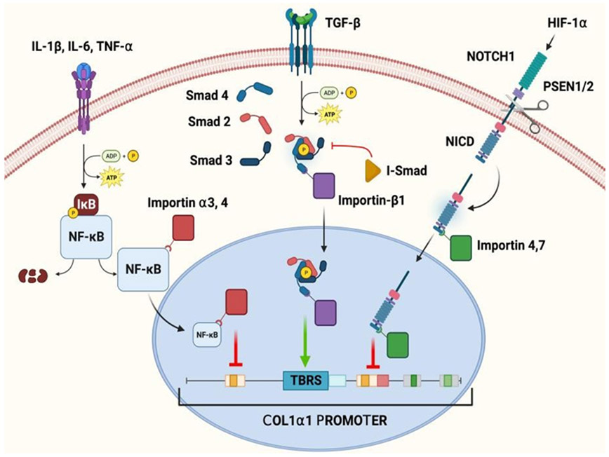 Figure 3: