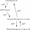 FIG. 7.