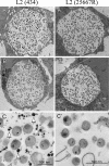 FIG. 4.