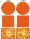 FIG. 2.