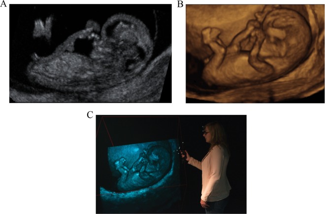 Figure 1.