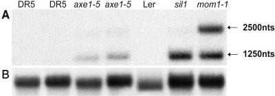 Figure 3.