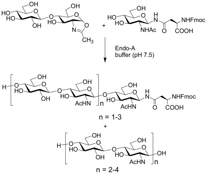 Scheme 8