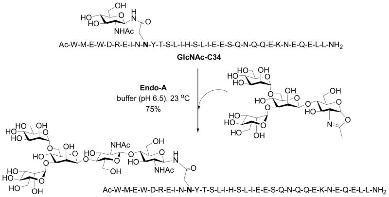 Scheme 2