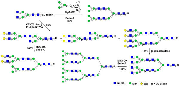 Scheme 9