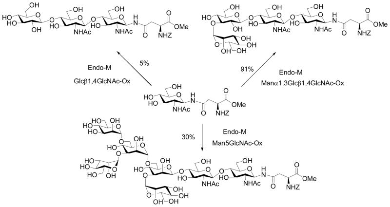 Scheme 3