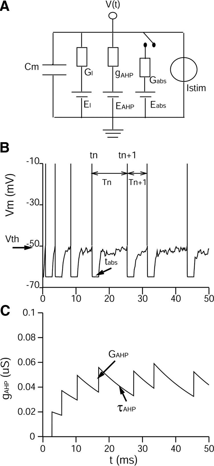 Fig. 1.