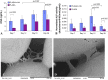 Fig. 4A–D