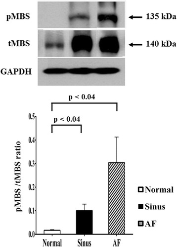 Fig. 9