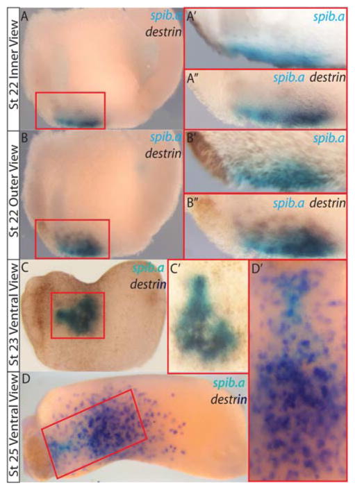 Fig. 2