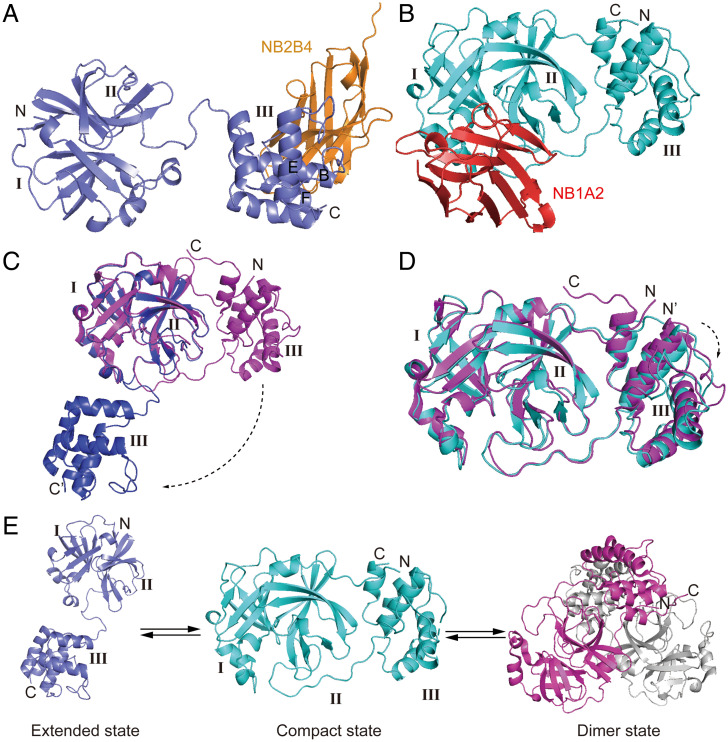 Fig. 2.