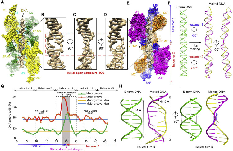 Fig 1