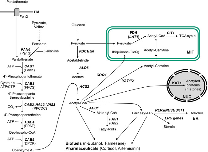 Fig. 1