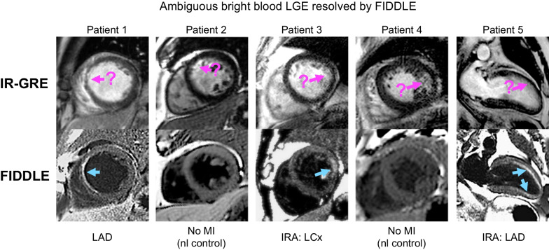 Fig. 3