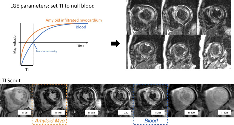 Fig. 12