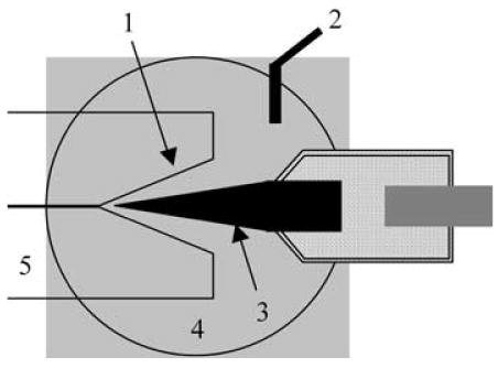 Fig. 1